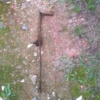 Pedale destro trattore