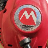 TAGLIA SIEPE A MOTORE