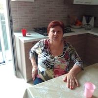 domestica 