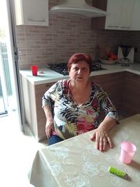 domestica 