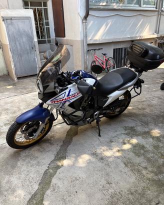 Honda transalp