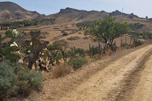 RGE 40/2014 Trib ENNA - LOTTO 3