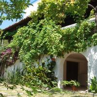 Villa Lopez giardino tropicale San Lucido