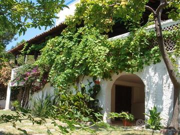 Villa Lopez giardino tropicale San Lucido