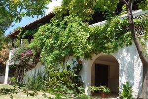 Villa Lopez giardino tropicale San Lucido