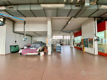 CAPANNONE A SAVIGNANO SUL RUBICONE