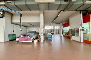 CAPANNONE A SAVIGNANO SUL RUBICONE