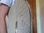 Immagine 3