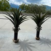 Piante artificiali agave