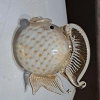 pesce in vetro di murano 