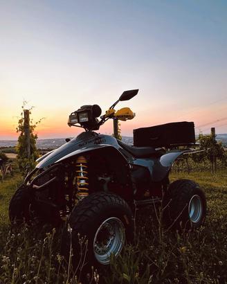 Quad Polaris 500 2x4