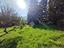 Immagine 13
