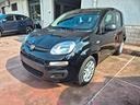 fiat-panda-pandina-1-0-firefly-65-cv-hybrid-icon