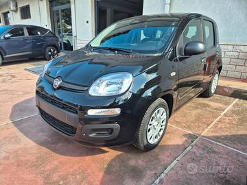 Fiat Panda Pandina 1.0 FireFly 65 CV Hybrid Icon
