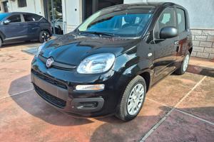 Fiat Panda Pandina 1.0 FireFly 65 CV Hybrid Icon