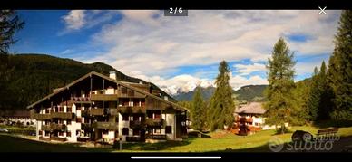 Appartamento compr. Civetta estate 2026