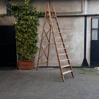 Scala pieghevole in legno massello primi900