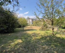 Terreno edificabile recintato con pozzo