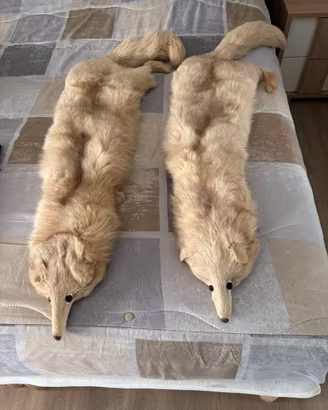 Coppia di stole vintage volpe bianca