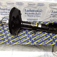 Ammortizzatori Anteriori DR5 722010029 722010028