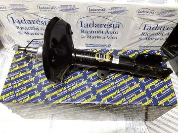 Ammortizzatori Anteriori DR5 722010029 722010028