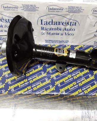 Ammortizzatori Anteriori DR5 722010029 722010028