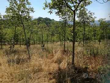 Terreno edificabile in santa lucia di serino