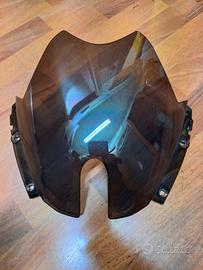 Cupolino Sym Joyride 200 Evo