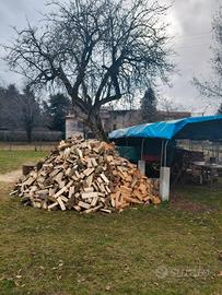 Legna da ardere 