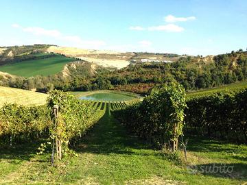 Terreno di 750000 m² a Riolo Terme