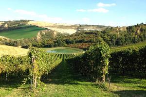 Terreno di 750000 m² a Riolo Terme