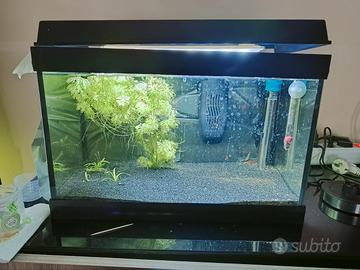 acquario 30 litri
