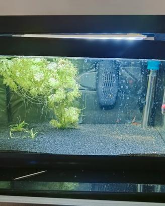 acquario 30 litri
