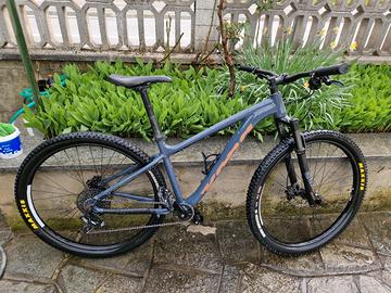 MTB kona