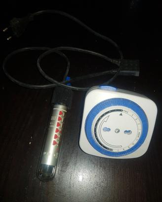 Termostato e timer per rettilario