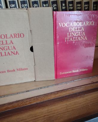 Vocabolario della lingua italiana NUOVO 