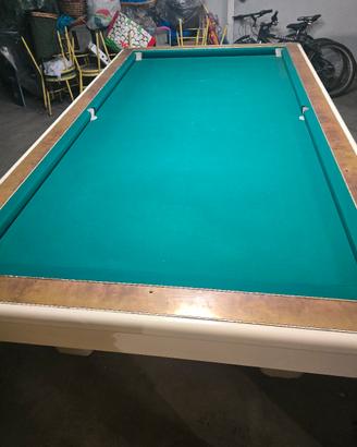 biliardo professionale 