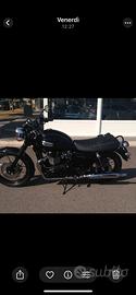 Triumph Bonneville T 100