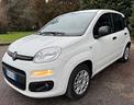 fiat-panda-1-2-easypower-easy-adatta-neopatentati