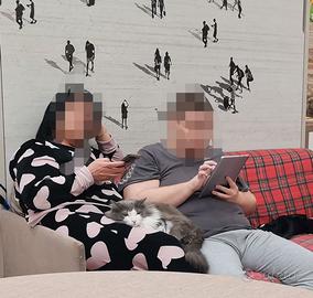 Letto matrimoniale a scomparsa