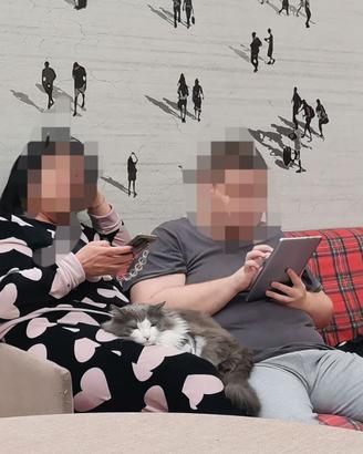 Letto matrimoniale a scomparsa