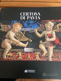 libro illustrato certosa di pavia