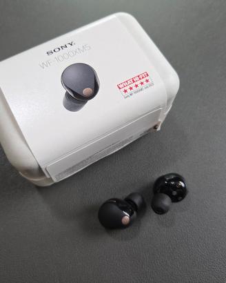 Sony WF-1000XM5 auricolari – SENZA custodia