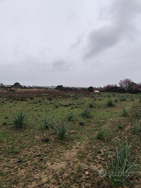 Terreno agricolo Soleminis