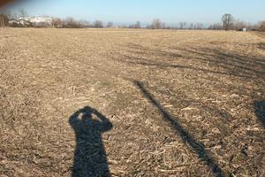 Terreno agricolo a Borgonovo val Tidone