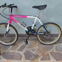 bicicletta per ragazzo