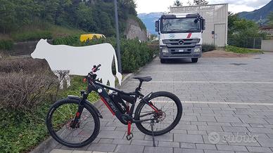 bici elettrica 