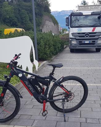 bici elettrica 