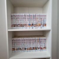 One Piece (Manga dal 1 al 110) di Gazzetta