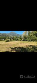Terreno agricolo a Camaiore a 5 minuti dal mare